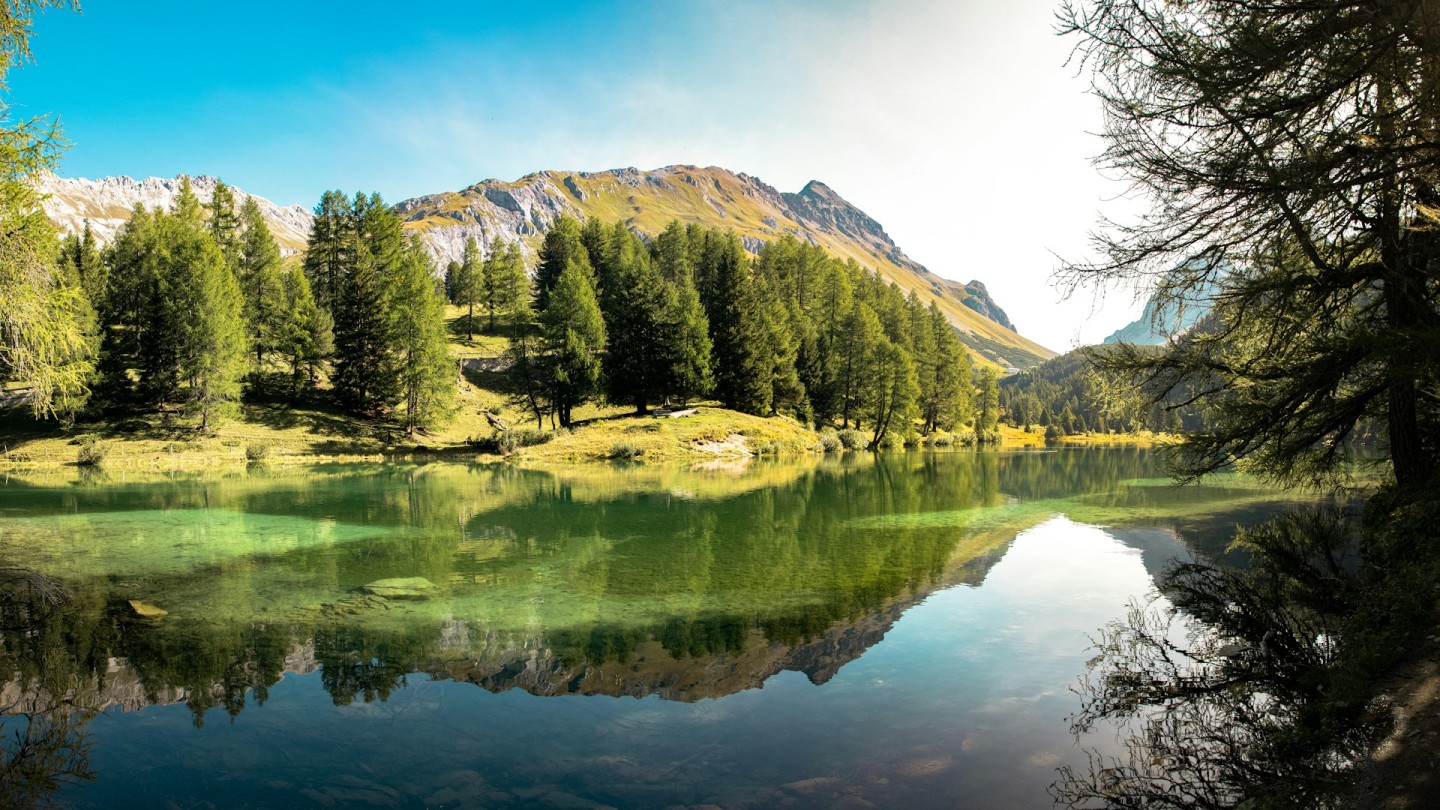 Trees and Alpine mountains reflected in the still water of Lai da Palpuogna.